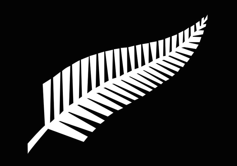 ラグビーニュージーランド代表のシンボルマーク「シルバーファーン」